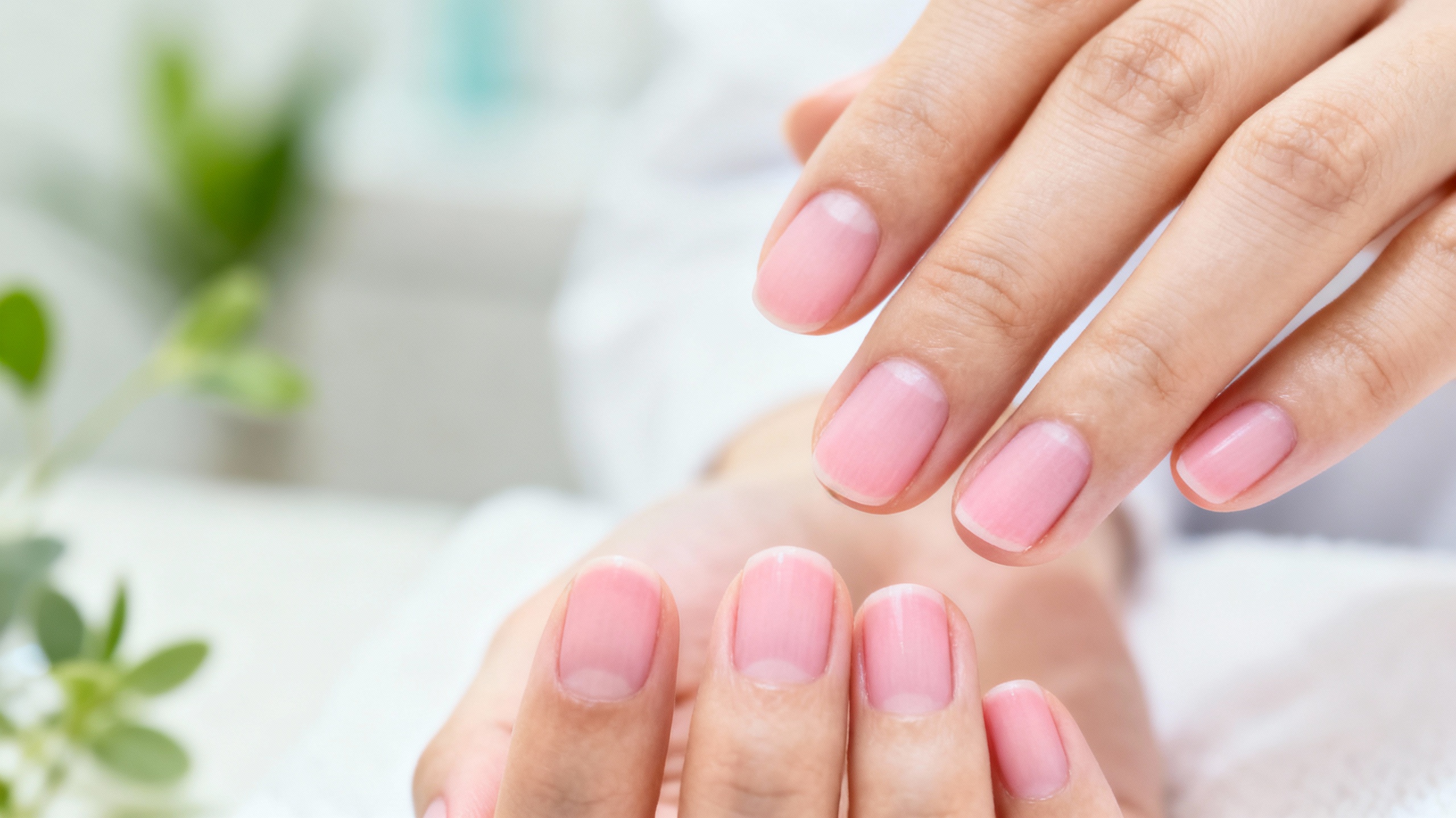 Featured image for The Go to Solution to Remediate Nail Fungus From the Root